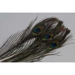 Plumes de paon avec oeil FLY SCENE Naturel Peacock eyes 2 Natural