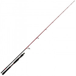 Canne TENRYU INJECTION SP 73XH 2m21 28-112gr