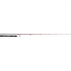 Canne TENRYU INJECTION SP 76M EVO 2m29  5-25gr