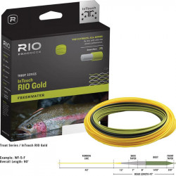 Soie RIO Gold InTouch WF6 Flottante