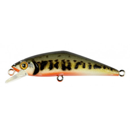 SMITH D-contact 50mm V1 lure