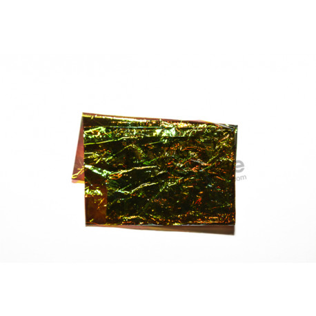 Flash Back FLY SCENE Olive