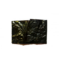 Flash Back FLY SCENE Black