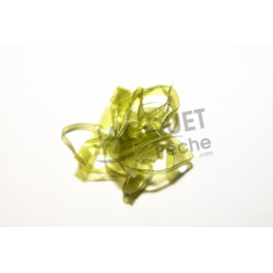 Scud backs FLY SCENE 3.1mm Olive clear
