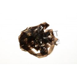 Scud backs FLY SCENE 3.1mm  Brun