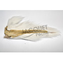 Bucktail prime large FLY SCENE Blanc naturel