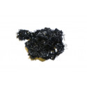 Blob chenille JMC MDC Noir