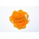 FLY SCENE Mini crystal chenille Fluo orange