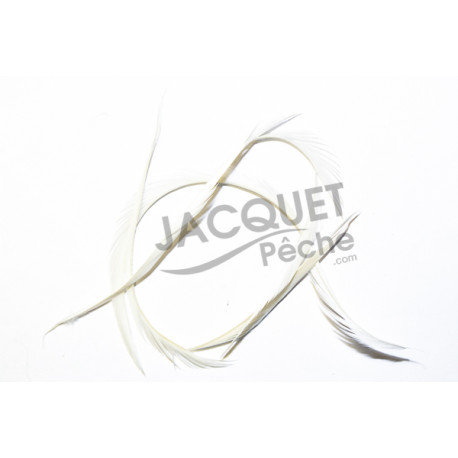 Gose biots FLY SCENE blanc