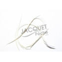 Gose biots FLY SCENE blanc