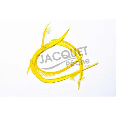 Goose biots FLY SCENE  Jaune