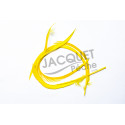 Goose biots FLY SCENE  Jaune