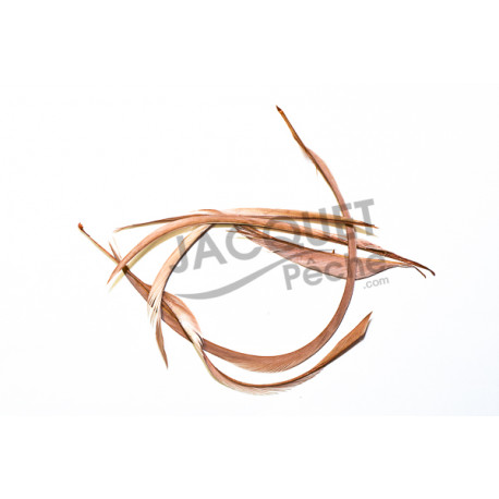 Gose biots FLY SCENE tan