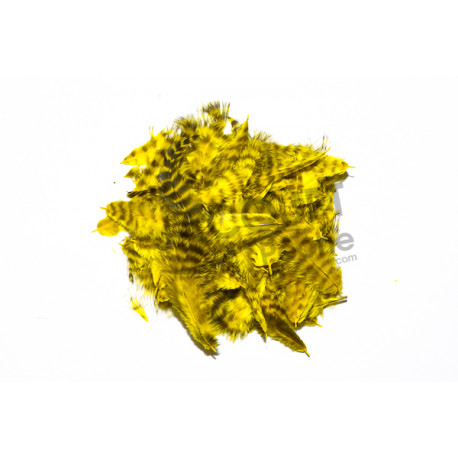 FLY SCENE Marabou grizzly  Yellow