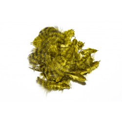 FLY SCENE Marabou grizzly  Olive