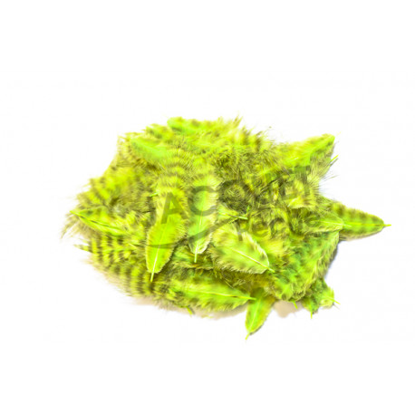 FLY SCENE Marabou grizzly  Fluo chartreuse