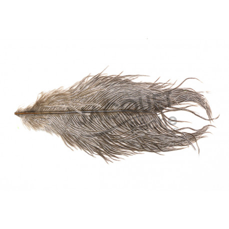 Plumes d'autruche FLY SCENE Naturelles