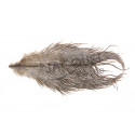 Plumes d'autruche FLY SCENE Naturelles