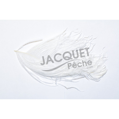 Ostrich plumes white