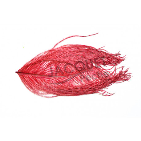 Plumes d'autruche FLY SCENE Rouges