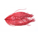 Ostrich feathers FLY SCENE Red