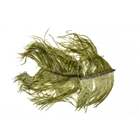 Plumes d'autruche FLY SCENE Olive