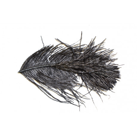 Plumes d'autruche FLY SCENE Noires
