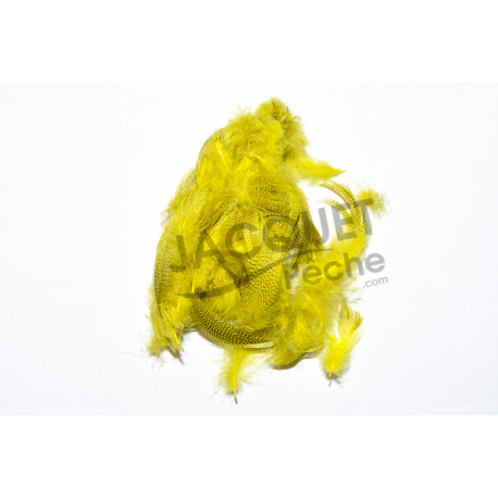 Flanc de colvert Mallard FLY SCENE yellow