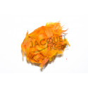 Mallard Flank FLY SCENE Orange