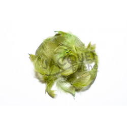 Flanc de colvert Mallard FLY SCENE olive