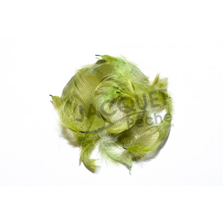 Flanc de colvert Mallard FLY SCENE olive