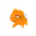 Bandelette de lapin FLY SCENE Orange  3mm