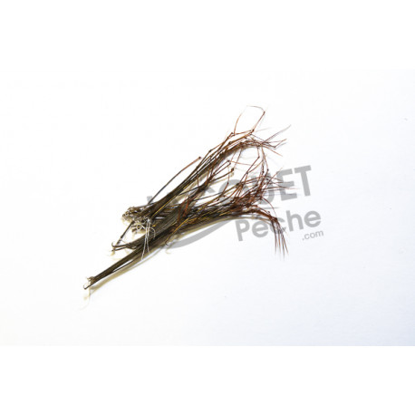 Insect paw JMC natural MDC