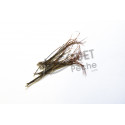 Insect paw JMC natural MDC