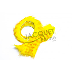 Striped rabbit band FLY SCENE Yellow/orange