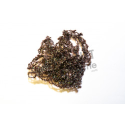 Chenille Crystal nymph FLY SCENE Brun foncé