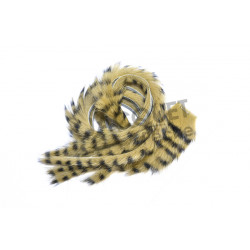 Bandelette de lapin FLY SCENE Olive rayé noir  3mm