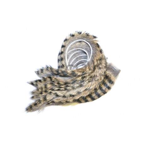 Bandelette de lapin FLY SCENE Chinchilla rayé noir  3mm