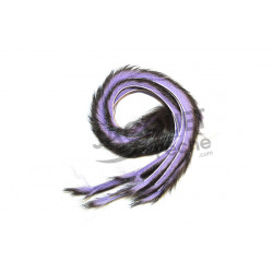 Bandelette de lapin 2tons FLY SCENE Mauve/Noir  3mm