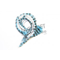 Bandelette de lapin tigré FLY SCENE Blanc/Bleu 3mm