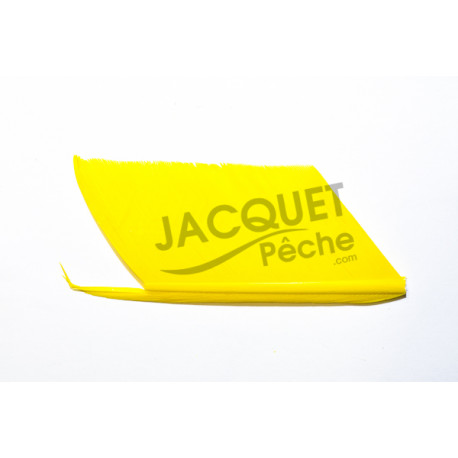 Substitut de Condor JMC Jaune