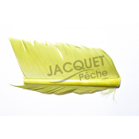 Substitut de Condor JMC Vert Insect