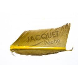 Condor JMC olive substitute