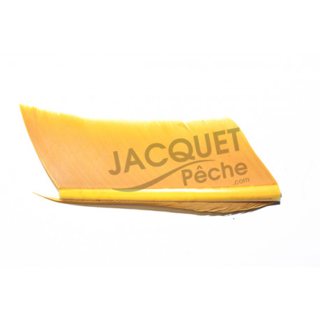 Substitut de Condor JMC Orange Clair