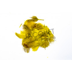 JMC Grey yellow partridge