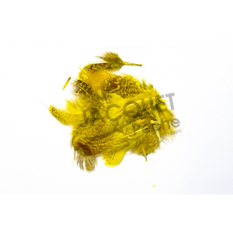Perdrix grise jaune JMC