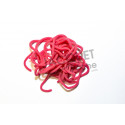 Squirmy Worms FLYSCENE Bloodworm Red