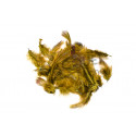 Partridge hackle dyed FLY SCENE  Olive