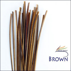 Hand Stripped Quill POLISHQUILLS Brown