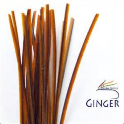 Hand Stripped Quill POLISHQUILLS Ginger